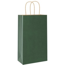 Sacs en papier 250 pcs avec poignées vert 21x11x36 cm 