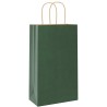 Sacs en papier 250 pcs avec poignées vert 21x11x36 cm 