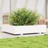 Jardinière blanc 110x110x26,5 cm bois de pin massif 