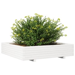 Jardinière blanc 110x110x26,5 cm bois de pin massif 