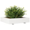 Jardinière blanc 110x110x26,5 cm bois de pin massif 