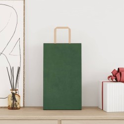 Sacs en papier 250 pcs avec poignées vert 21x11x36 cm 