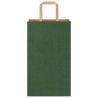 Sacs en papier 250 pcs avec poignées vert 21x11x36 cm 
