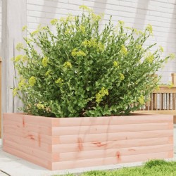 Jardinière 70x70x23 cm bois massif douglas 