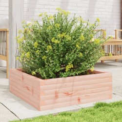 Jardinière 70x70x23 cm bois massif douglas 