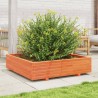 Jardinière cire marron 100x100x26,5 cm bois de pin massif 