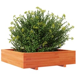 Jardinière cire marron 100x100x26,5 cm bois de pin massif 