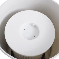 Écumoire de piscine et pompe avec adaptateur 16 cm Plastique 