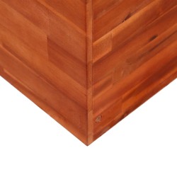 Lit surélevé de jardin Bois d'acacia 100x100x50 cm 
