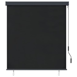 Store roulant d'extérieur 140 x 250 cm Anthracite 