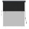 Store roulant d'extérieur 140 x 250 cm Anthracite 