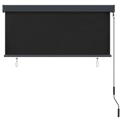Store roulant d'extérieur 140 x 250 cm Anthracite 