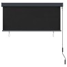Store roulant d'extérieur 140 x 250 cm Anthracite 