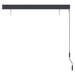 Store roulant d'extérieur 140 x 250 cm Anthracite 