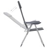 Chaise de camping lot de 2 Gris 58x69x111 cm Aluminium 