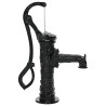 Pompe à eau manuelle de jardin Fonte 