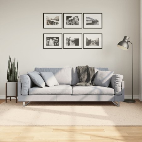 Tapis HUARTE à poils courts doux et lavable beige 160x230 cm 