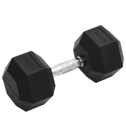 Haltère 22,5 kg Fonte 