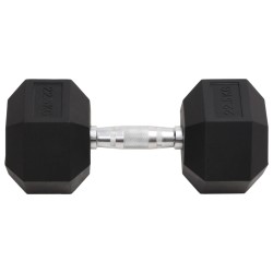 Haltère 22,5 kg Fonte 