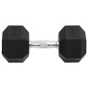 Haltère 22,5 kg Fonte 
