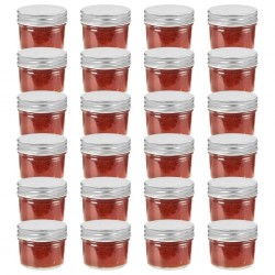 vidaXL 24 pcs Pots à confiture avec couvercles argentés Verre 110 ml 