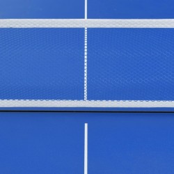 vidaXL Table de ping-pong avec filet 152x76x66 cm Bleu 